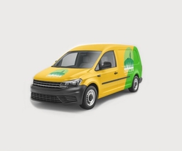 Custom Van Wrap