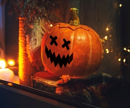 Pumpkin Decal on the window