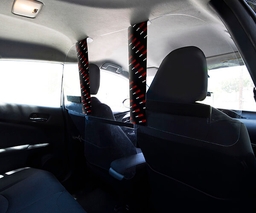 Ride Guard Installed in Car