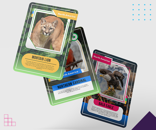 Trading Cards by AxiomPrint